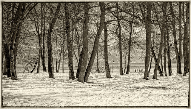 .......die Liebe erwartet dich am See mitten im Park.........