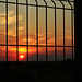 Sunset behind a fence! HFF!