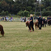 179casaug102024 (1143)