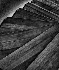 SSC -Treppe- SSC -Treppe-