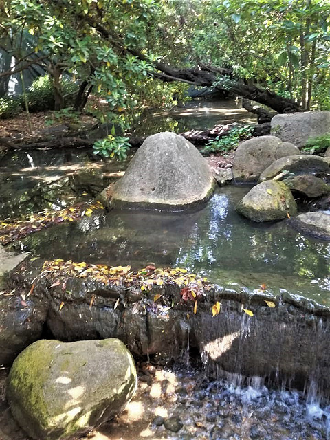 GULBENKIAN Foundation gardens