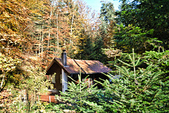 Waldhütte  