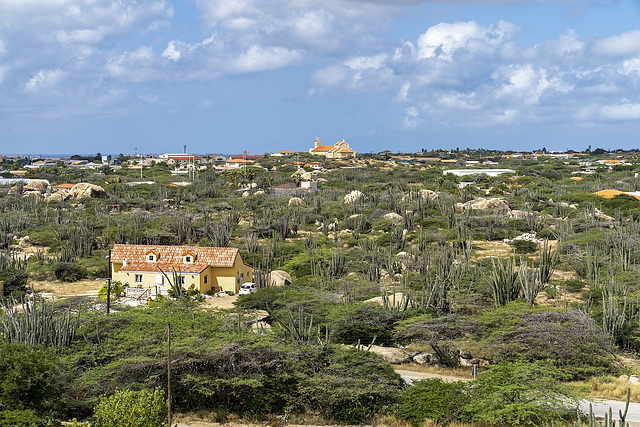 Aruba landscape