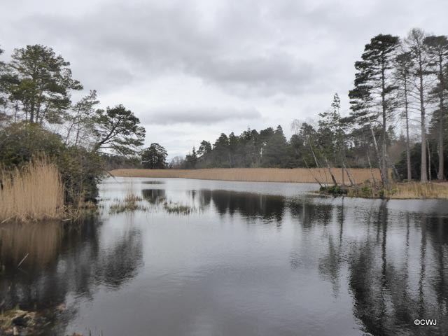 Blairs Loch