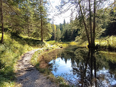 Im Loisachquellgebiet