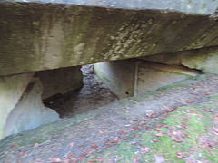 Bunker im Wald