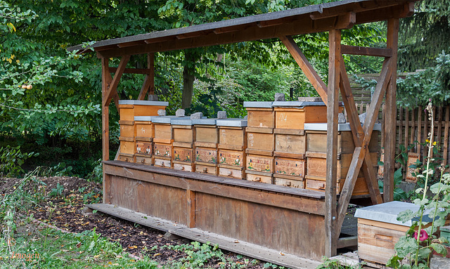 Historic Bee Hive Boxes.