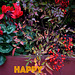 Happy holidays!