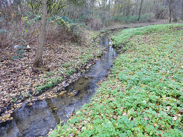 bachlauf-06941