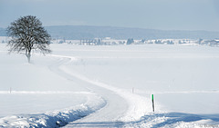 Winterwanderweg im Zürcher Unterland (© Buelipix)