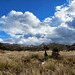 The Cochise Stronghold