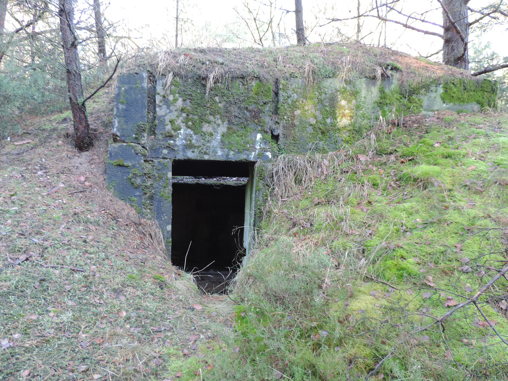 Bunker im Wald