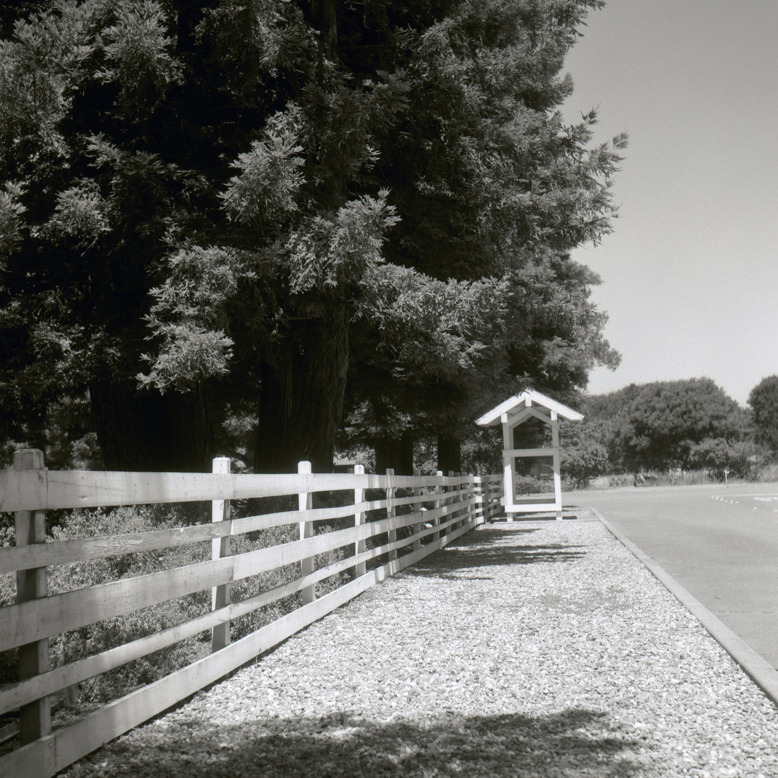 Bus Stop