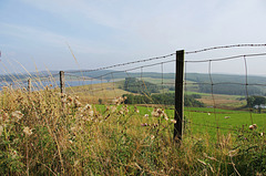 LLyn Brenig reservoir.  HFF