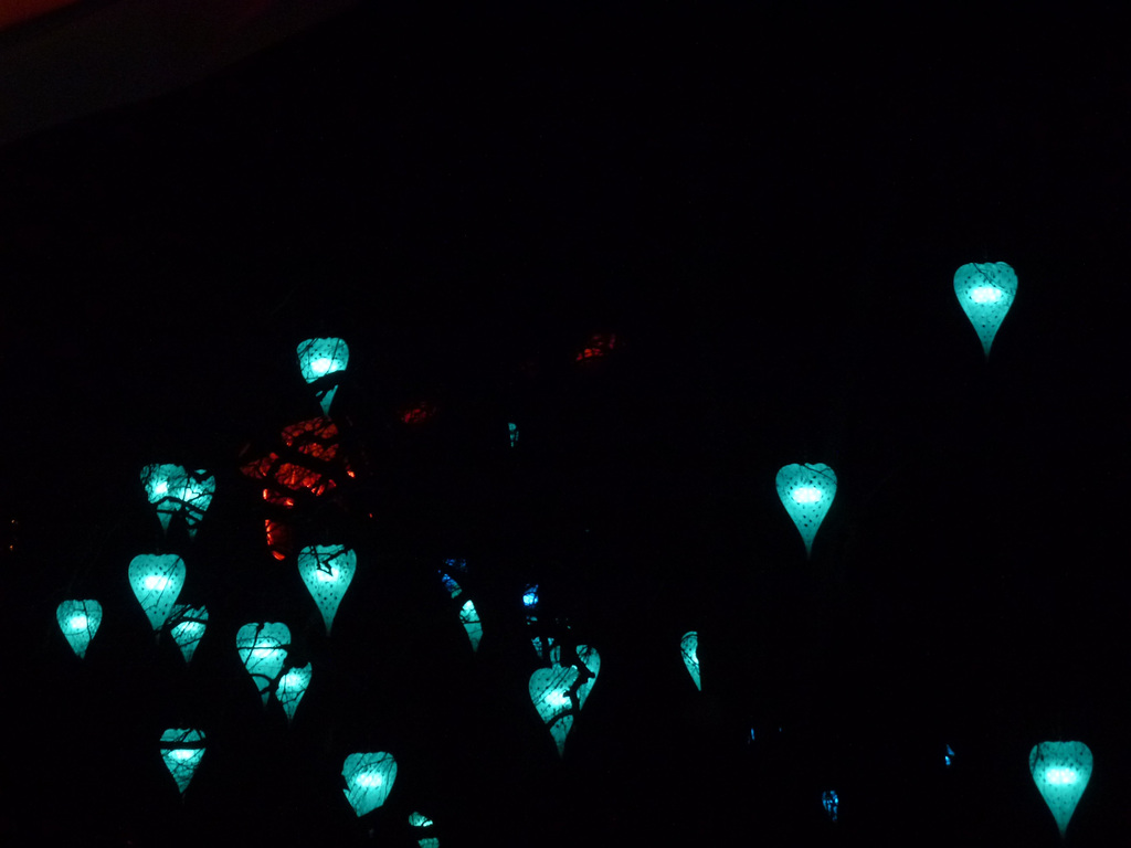 20141205 Fête lumières Lyon (4) al