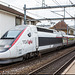 140502 TGV Lyria Morges 3