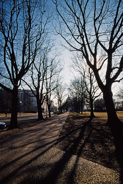 Winter Shadows in Washington DC