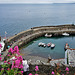 Cornwall-Reise 2023 / Clovelly