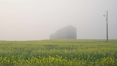 bins in a mist 5