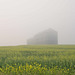 bins in a mist 5