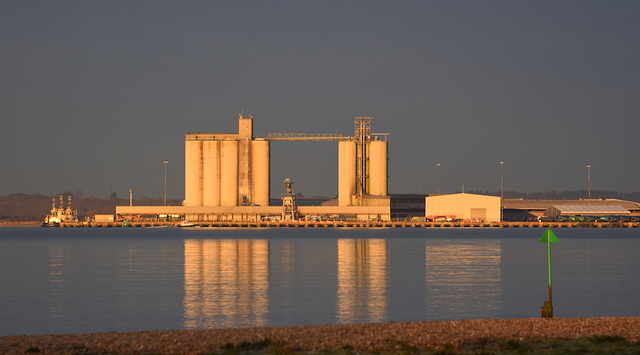 Southampton Grain Terminal - 7 March 2021