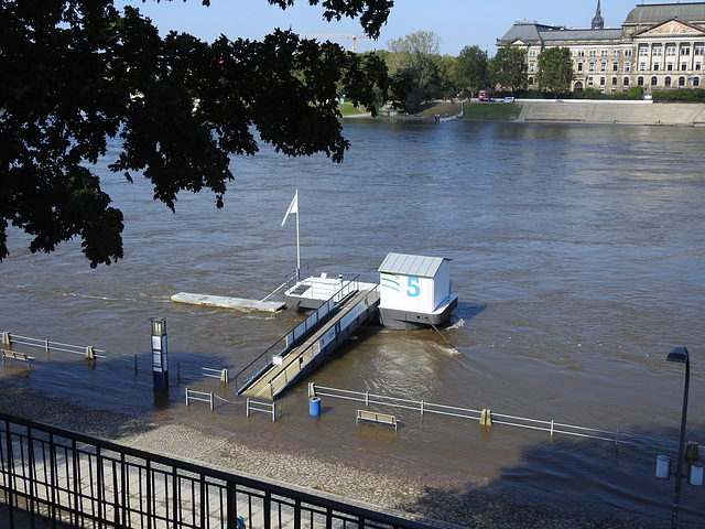 Elbe-Hochwasser in Dresden Elbe-Hochwasser in Dresden