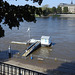 Elbe-Hochwasser in Dresden