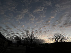 Pre-dawn winter skies