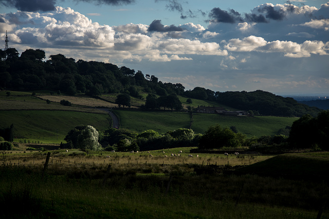 Little Padfield in the sun