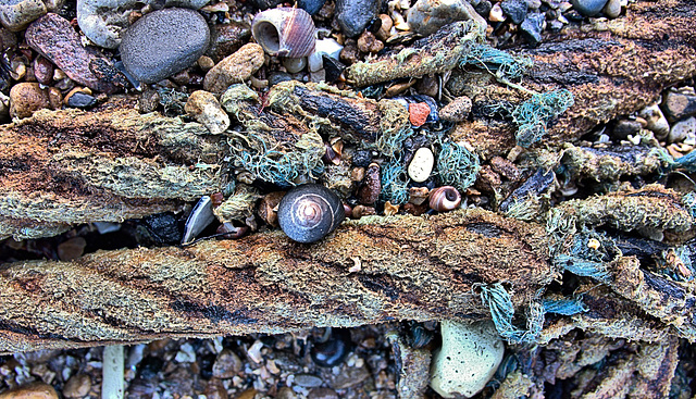 On The Beach 1