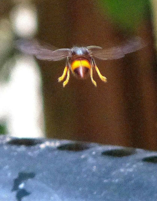 ... fontaine en vue ...