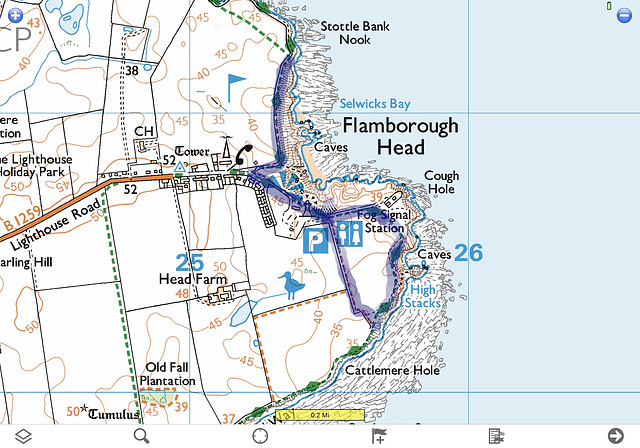 Short walk at Flamborough Head in September 1990.