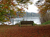 Overlooking The Mere