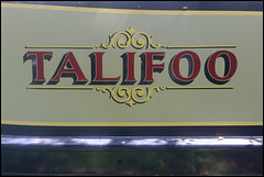 Talifoo