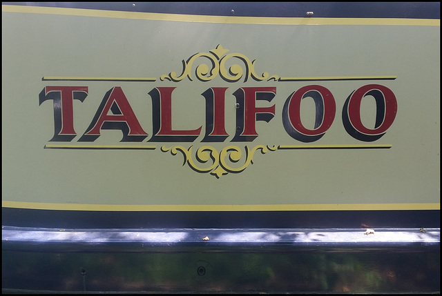 Talifoo