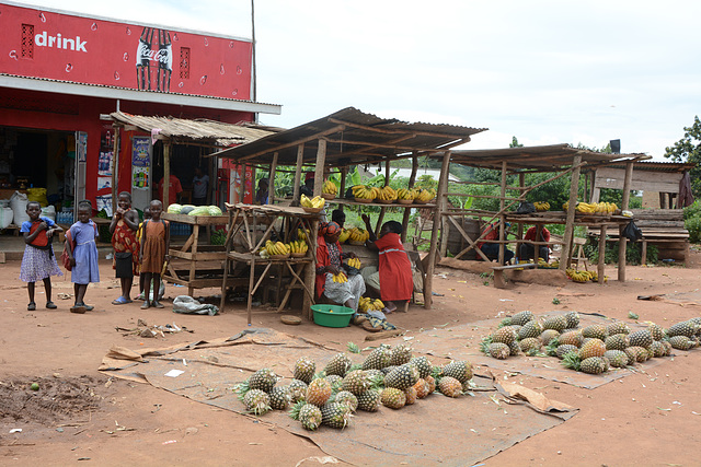 Uganda, Roadside Market