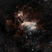 Prawn Nebula.