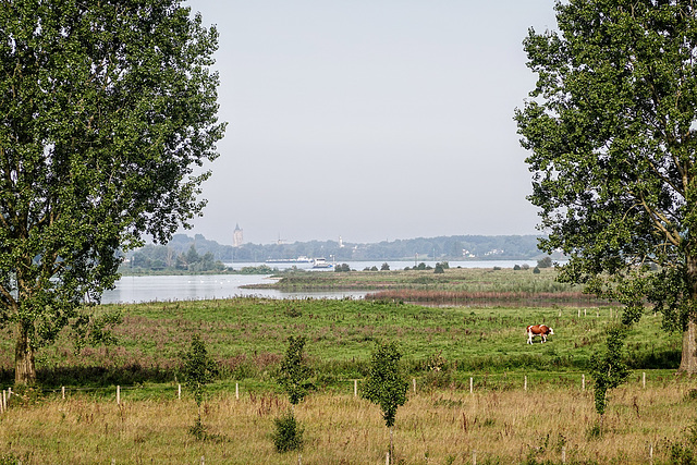 Uitkijk op Gorinchem