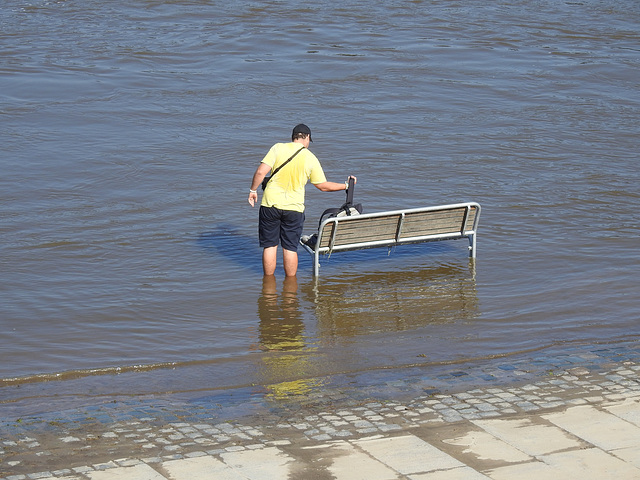 Hochwasser-Tourist, Dresden