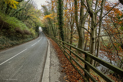 The road, the fence, and the river (HFF everyone)