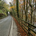 The road, the fence, and the river (HFF everyone)
