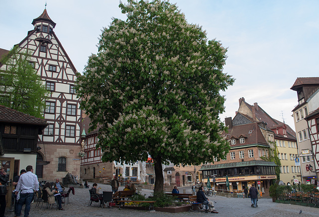 Nuremberg old town (#2777)