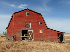 The red barn