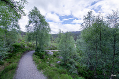 Glen Affric