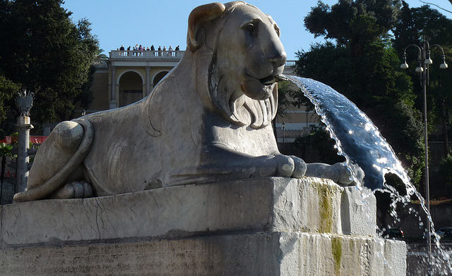 #11 - Daniela Brocca - Piazza del Popolo -A lion from the central mountain - 41̊ 0points