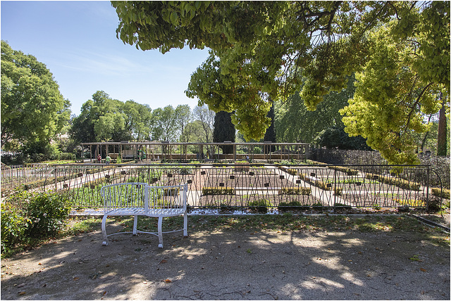 HFF - Jardin en élaboration - Anlegen eines Gartens - Development of a garden