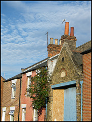 pots against a summer sky