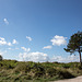 20140911 5212VRAw [NL] Terschelling