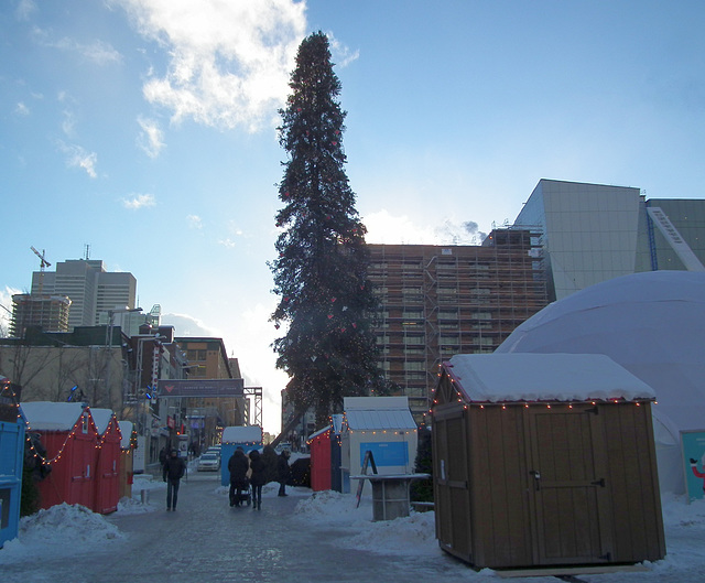 le sapin le plus célèbre de Montréal