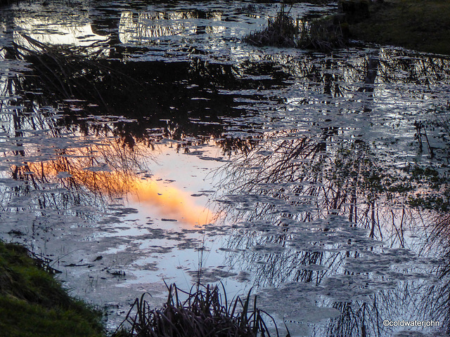 Pond as mirror of the last of the day